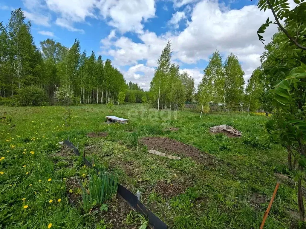 Участок в Новосибирская область, Мошковский район, с. Барлак ул. ... - Фото 0