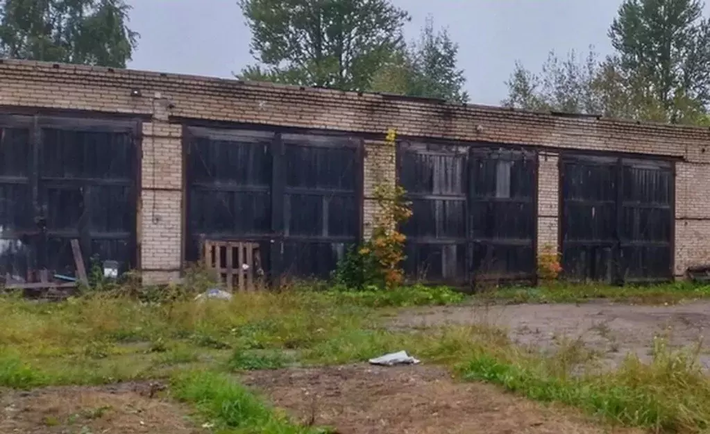 Помещение свободного назначения в Ленинградская область, ... - Фото 0