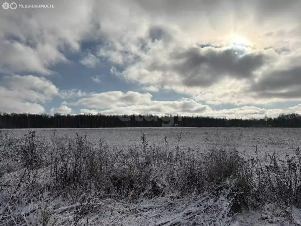 Участок в Саранск, садоводческое товарищество Буревестник (4 м) - Фото 1