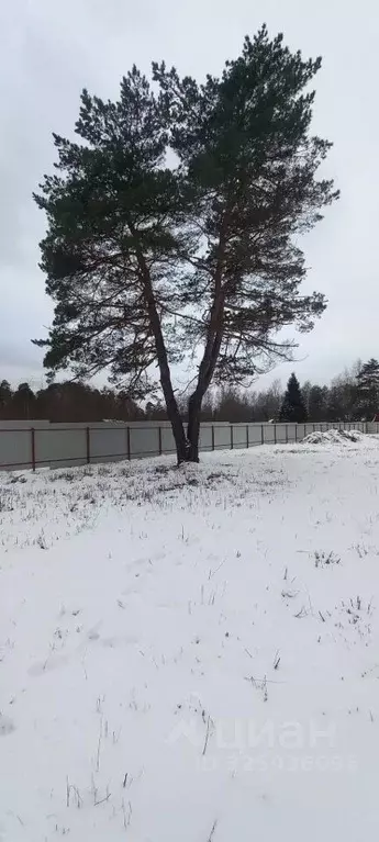 Участок в Московская область, Одинцовский городской округ, Серебряные ... - Фото 1