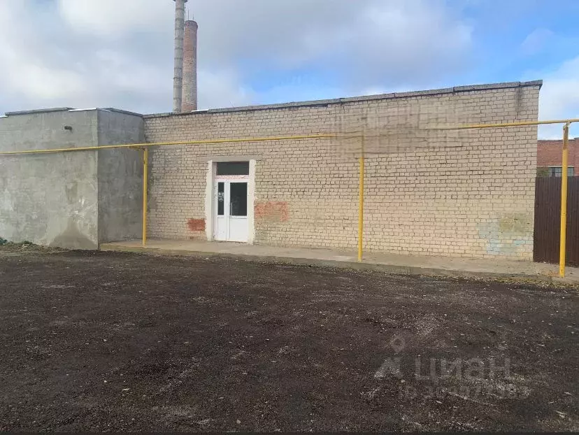 Помещение свободного назначения в Самарская область, Сызрань ул. ... - Фото 1