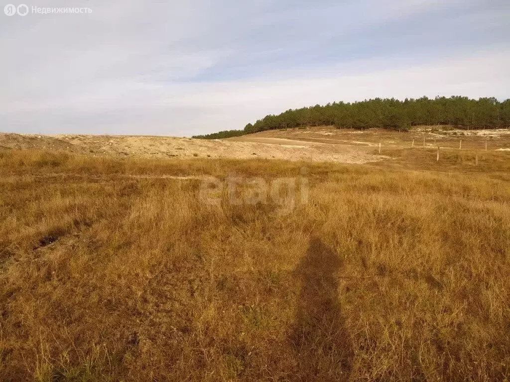 Участок в село Тургеневка, Парниковая улица (8.61 м) - Фото 1