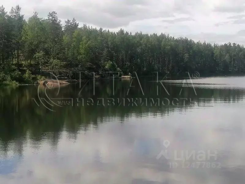 Участок в Ленинградская область, Приозерский район, Кузнечнинское ... - Фото 0