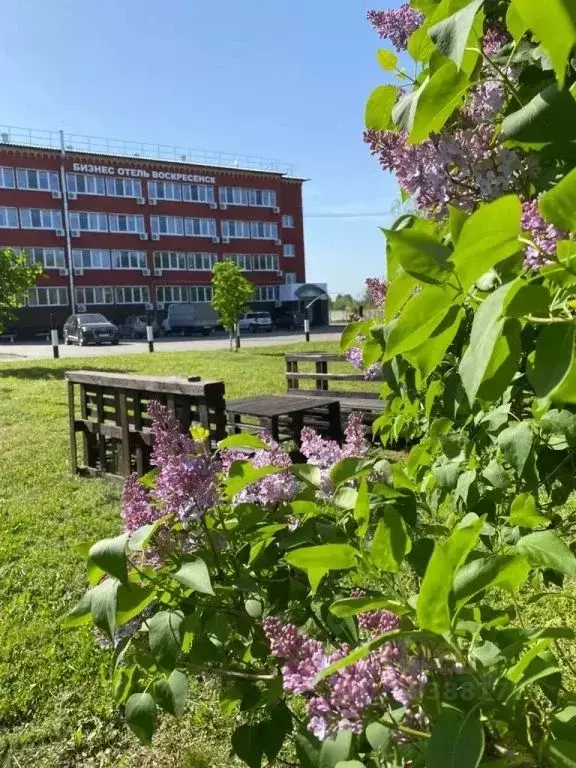 Комната Московская область, Воскресенск Коммуна мкр, ул. ... - Фото 1