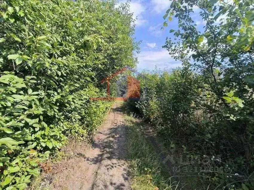 Участок в Белгородская область, Губкинский городской округ, с. Осколец ... - Фото 1
