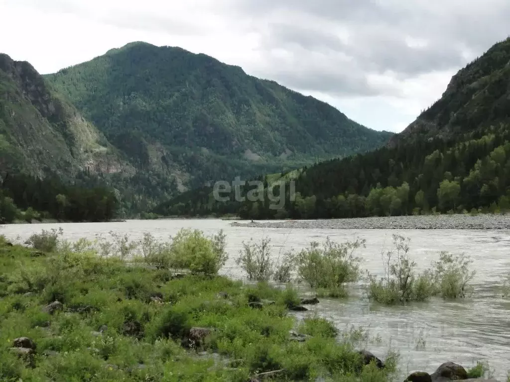 Участок в Алтай, Онгудайский район, с. Онгудай  (200.0 сот.) - Фото 0