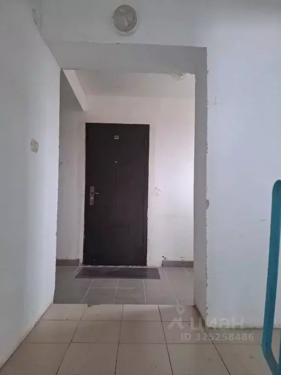 2-к кв. Крым, Феодосия муниципальный округ, Коктебель пгт ул. ... - Фото 2