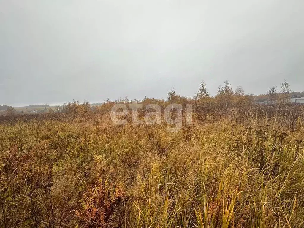 Участок в Тульская область, Киреевский район, Бородинское ... - Фото 1