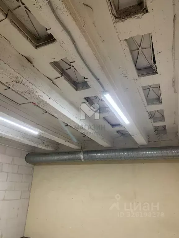 Помещение свободного назначения в Санкт-Петербург Курляндская ул., 49 ... - Фото 2