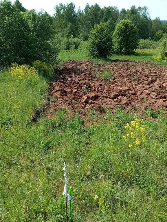 Участок в Нижегородская область, Дальнеконстантиновский муниципальный ... - Фото 1