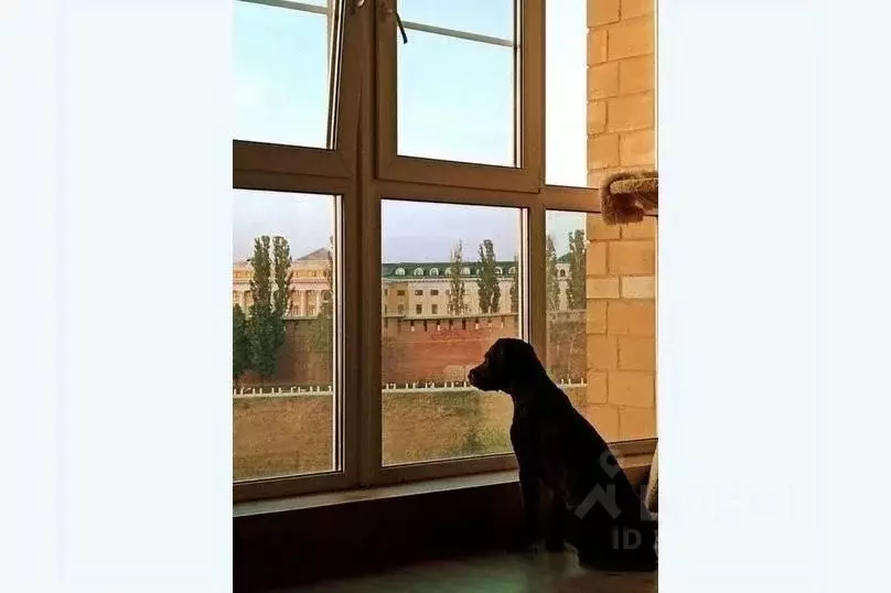 2-к кв. Нижегородская область, Нижний Новгород Почаинская ул., 29 ... - Фото 1