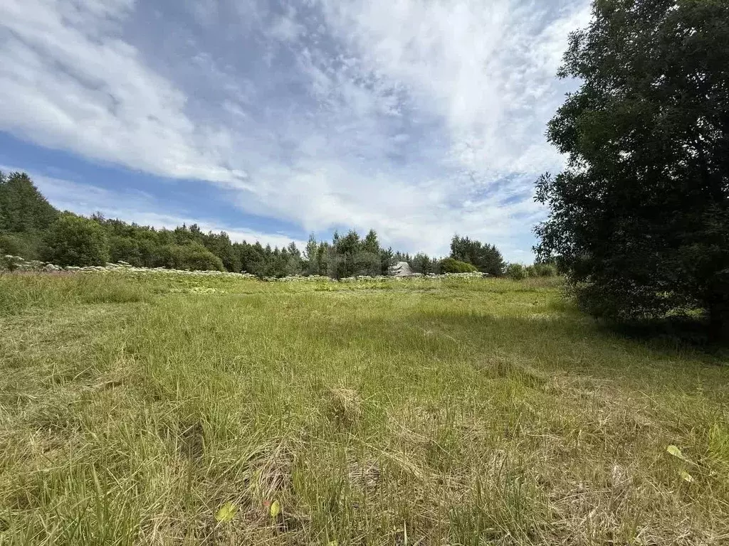 Участок в Вологодская область, д. Игнатово  (14.0 сот.) - Фото 1