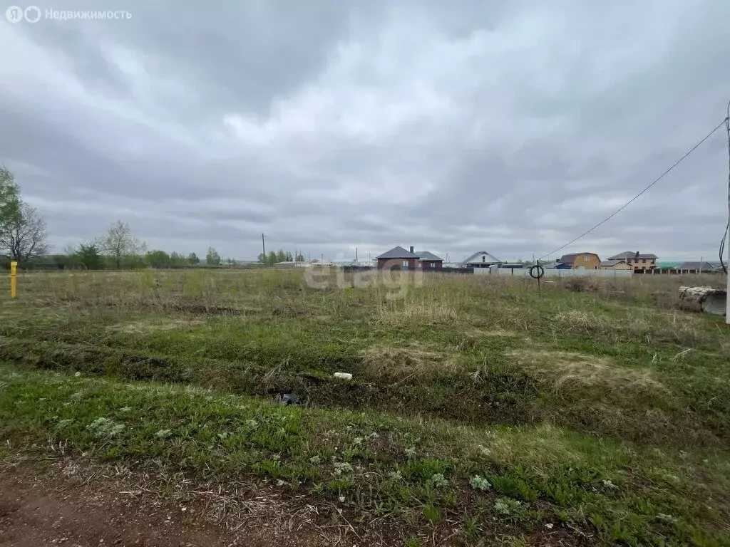 Участок в деревня Старомусино, Дружная улица (15 м) - Фото 2