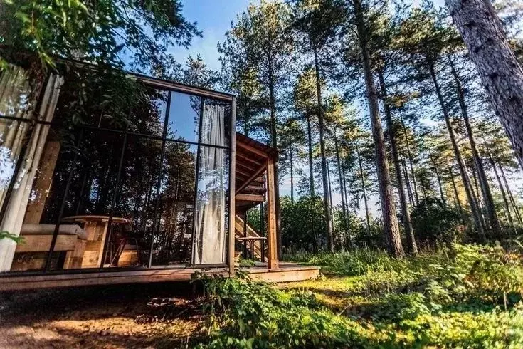 Участок в Московская область, Звенигород Одинцовский городской округ,  ... - Фото 1