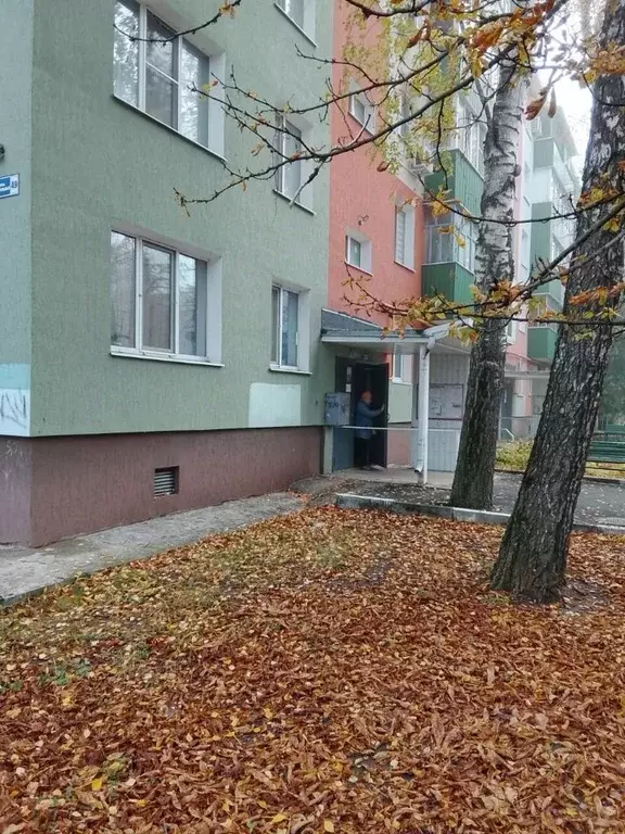 1-к кв. Белгородская область, Старый Оскол Интернациональный мкр, 29 ... - Фото 1