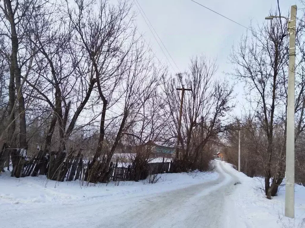 Участок в Алтайский край, Барнаул городской округ, Поселок Борзовая ... - Фото 0