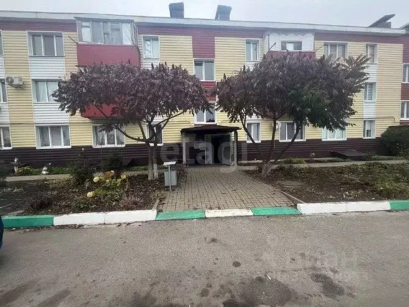 1-к кв. Белгородская область, Прохоровка рп ул. Советская, 220 (28.5 ... - Фото 1