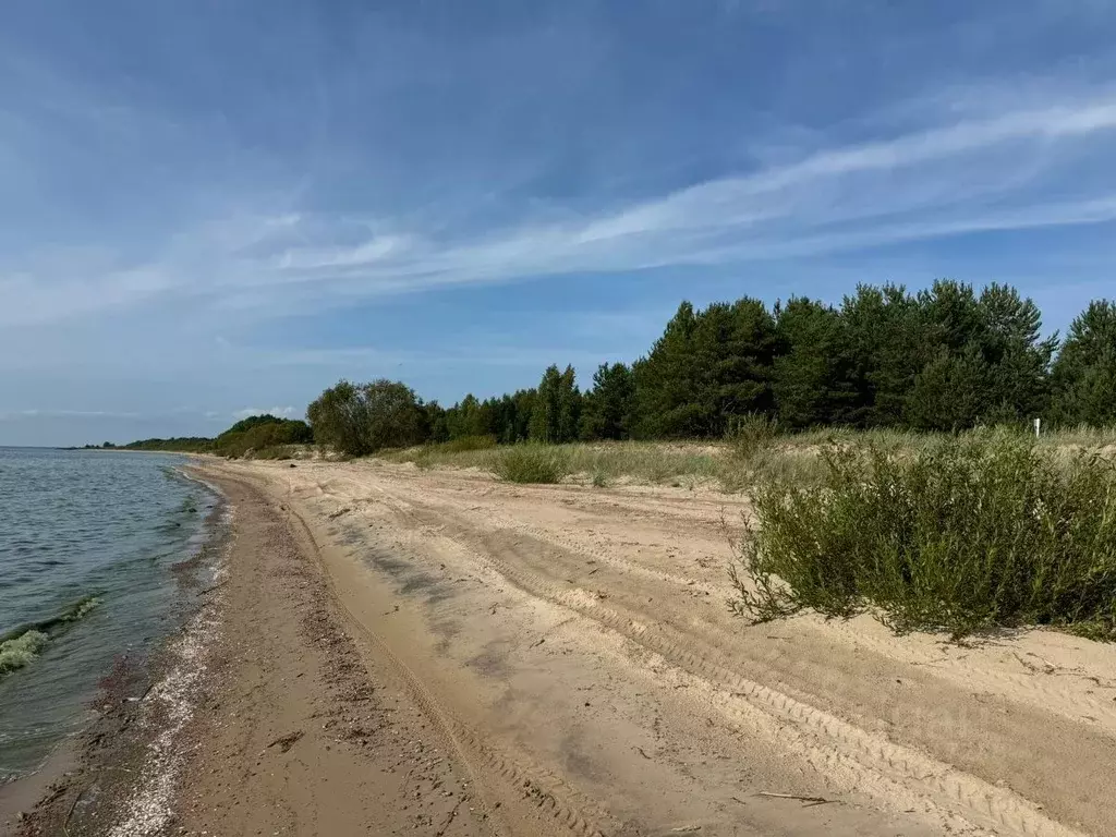 Участок в Псковская область, Гдовский район, Добручинская волость, д. ... - Фото 1