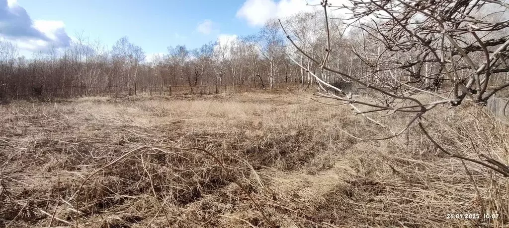 Участок 12 сот. (ИЖС) - Фото 1