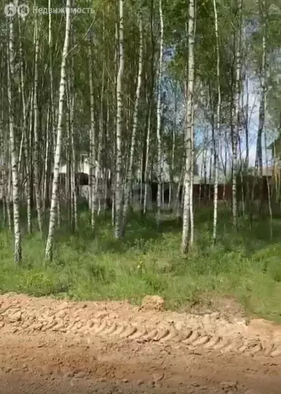 Участок в Московская область, муниципальный округ Чехов, село Дубна ... - Фото 2