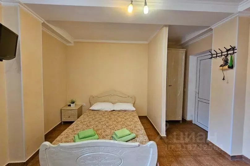 1-к кв. Краснодарский край, Сочи ул. Ленина, 42А (28.0 м) - Фото 1