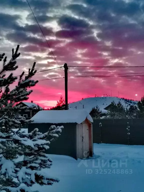 Дом в Удмуртия, Ижевск ул. Героя Леонида Рыкова, 43 (36 м) - Фото 2