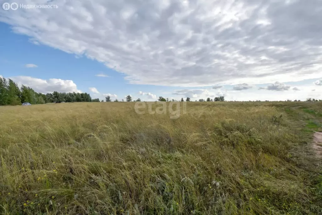 Участок в Илекский район, село Кардаилово (103.73 м) - Фото 0