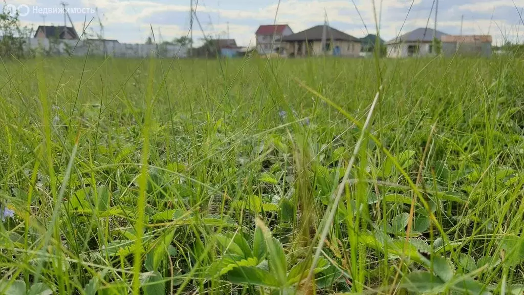Участок в село Федосеевка, улица Натальи Лихачёвой (15 м) - Фото 1