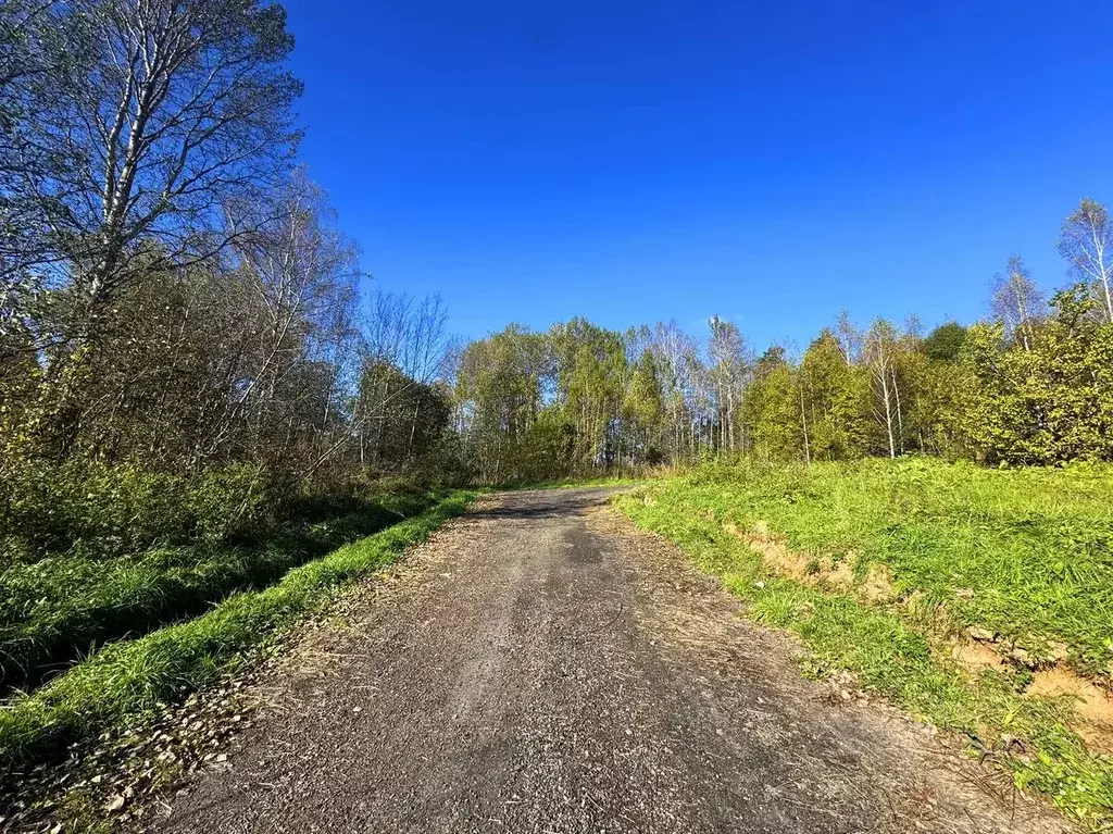 Участок в Московская область, Дмитровский муниципальный округ, Форест ... - Фото 1