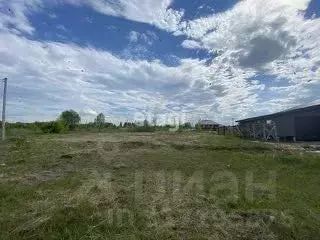 Участок в Нижегородская область, Выкса городской округ, Шиморское рп ... - Фото 0