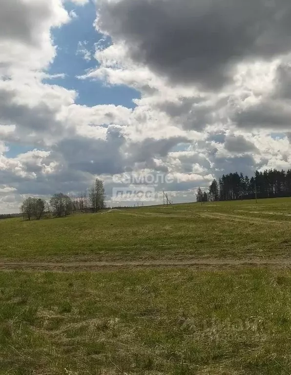 Участок в Ленинградская область, Приозерский район, Красноозерное ... - Фото 0