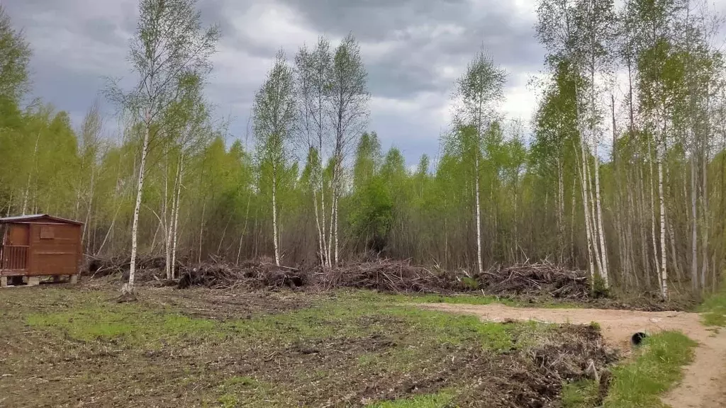Участок в Тверская область, Кимрский муниципальный округ, Мечта СНТ ... - Фото 1