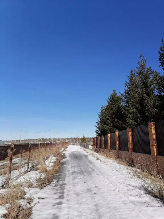 Участок в Омская область, Омский район, с. Усть-Заостровка  (15.0 ... - Фото 0