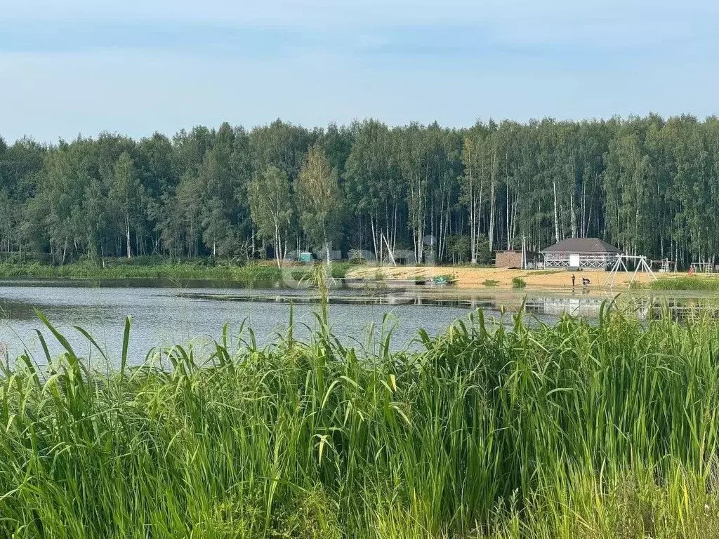 Участок в Костромская область, Красносельский район, Боровиковское ... - Фото 1