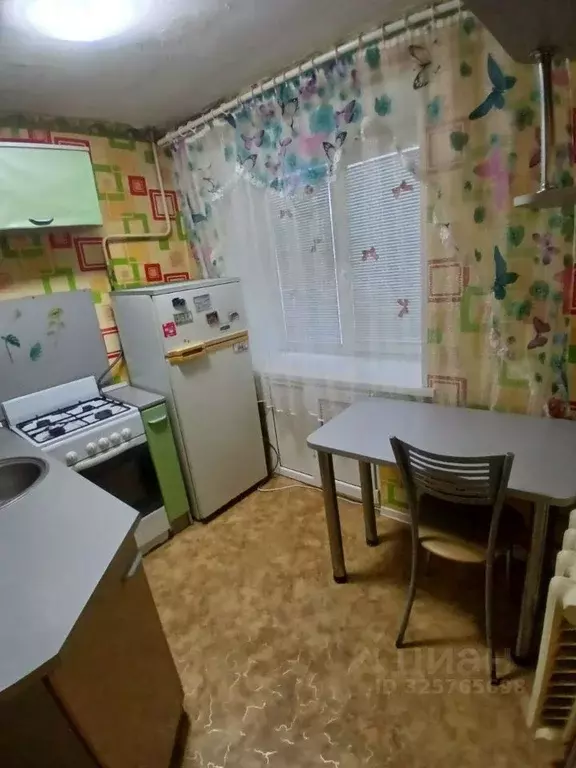 1-к кв. Владимирская область, Александров ул. Первомайская, 50 (30.0 ... - Фото 2