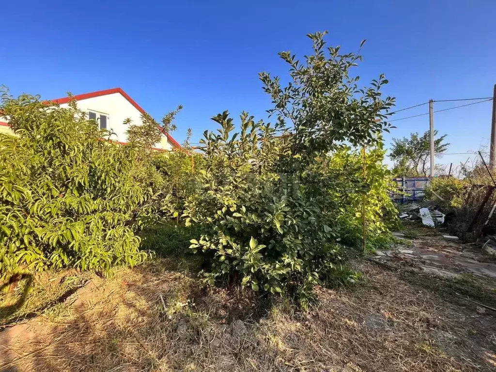 Дом в Астраханская область, Приволжский район, Монолит садовое ... - Фото 1