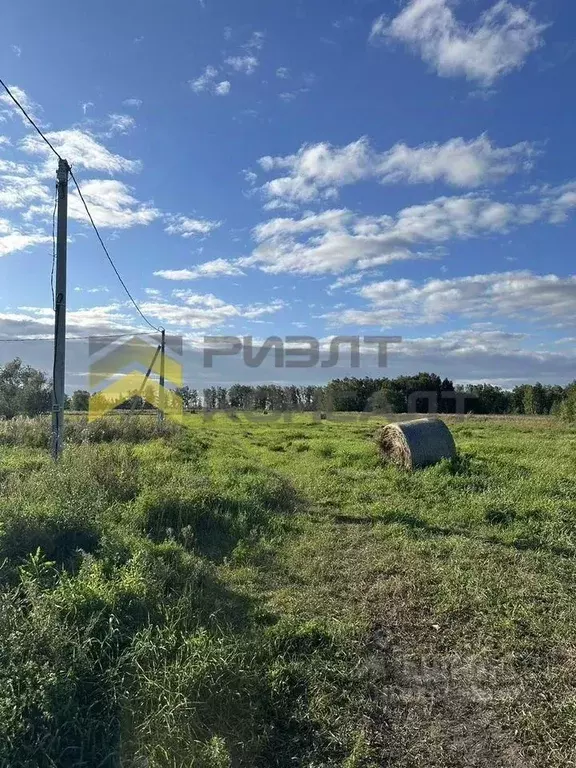 Участок в Омская область, Омский район, с. Розовка  (12.0 сот.) - Фото 0