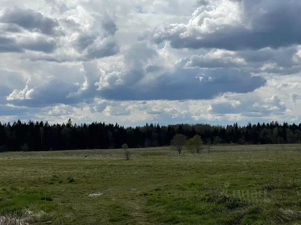 Участок в Московская область, Клин городской округ, д. Никольское  ... - Фото 1