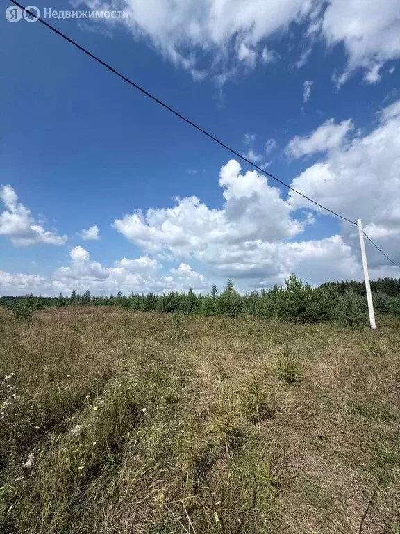 Участок в Бобинское сельское поселение, деревня Большие Раскопины (12 ... - Фото 1