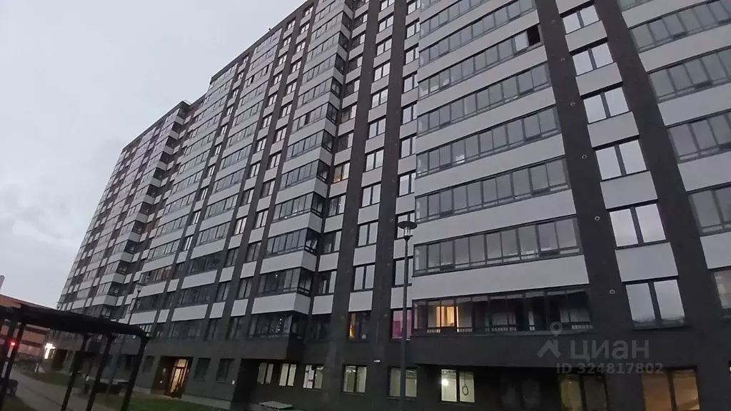 Студия Санкт-Петербург пос. Парголово, дор. Михайловская, 6 (31.0 м) - Фото 2