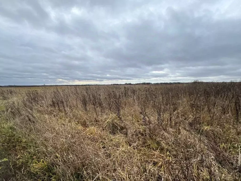 Участок в Ярославская область, Ярославский муниципальный округ, ... - Фото 2