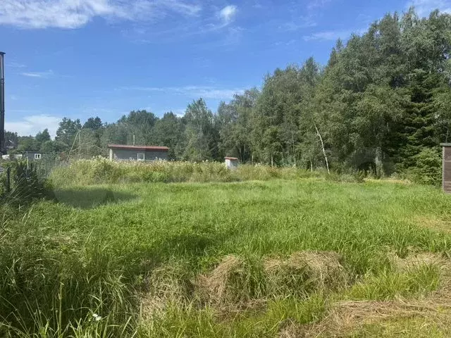 Участок 6 сот. (СНТ, ДНП) - Фото 0