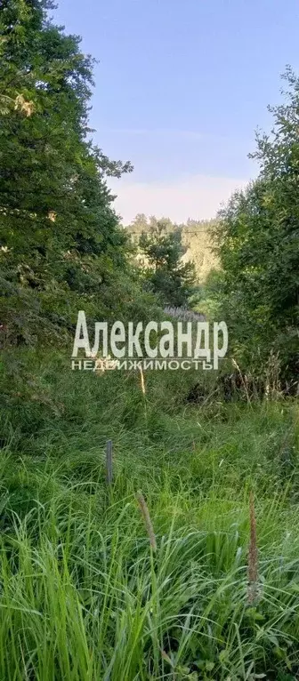 Участок в Ленинградская область, Приозерский район, Кузнечное пгт  ... - Фото 1
