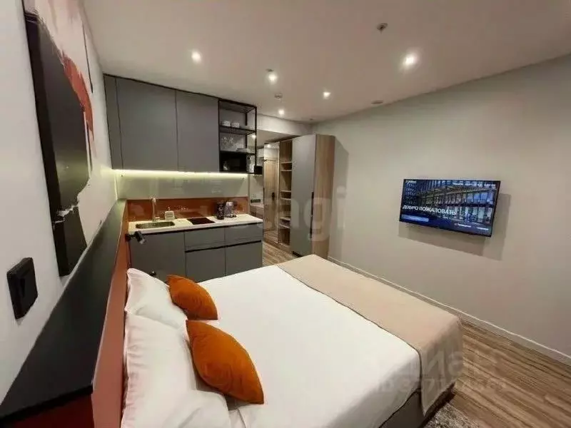 Студия Санкт-Петербург просп. Энергетиков, 2к2 (21.1 м) - Фото 1