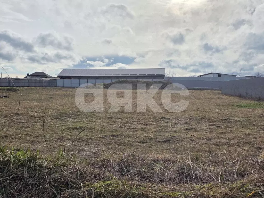 Участок в Краснодарский край, Новосельское с/пос, пос. Глубокий ул. ... - Фото 1