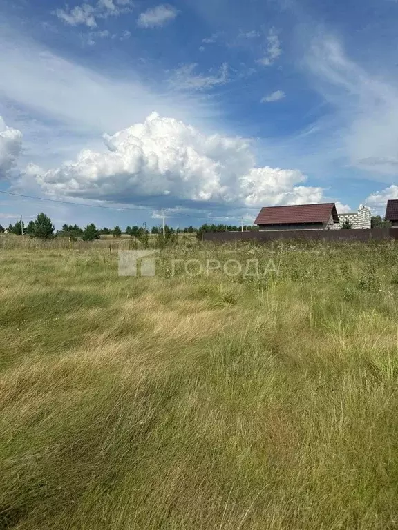 Участок в Алтайский край, Первомайский район, с. Фирсово, Рощино мкр ... - Фото 1