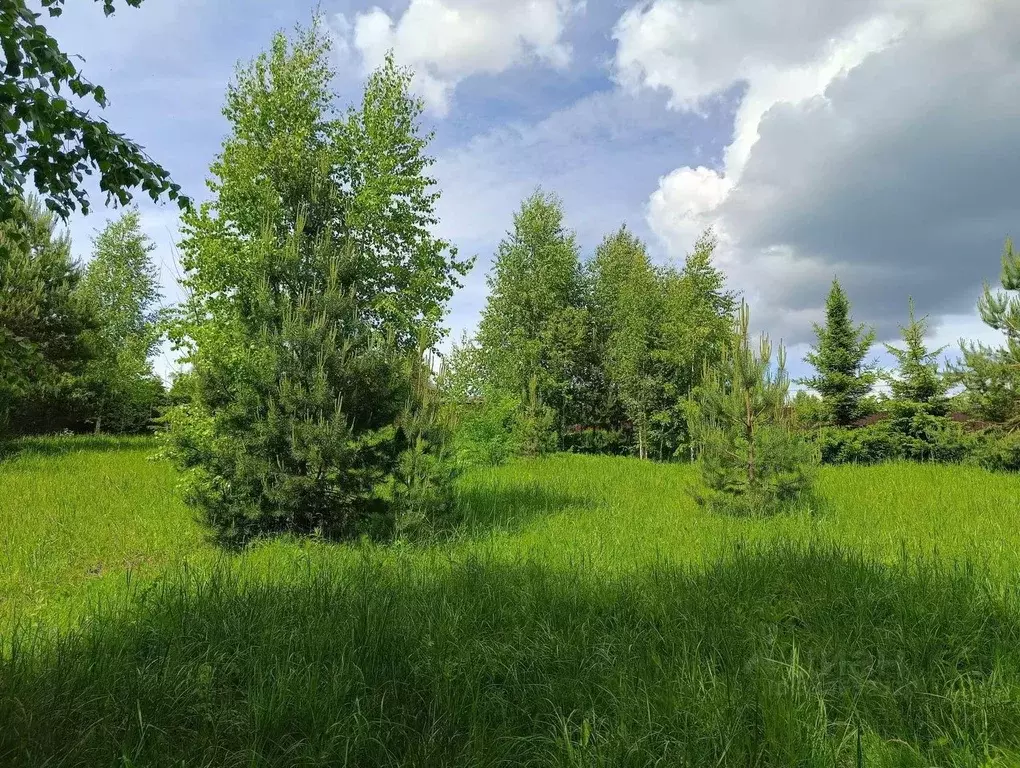Участок в Ярославская область, Рыбинский муниципальный округ, д. ... - Фото 1