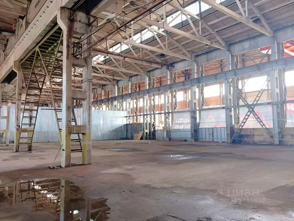 Производственное помещение в Московская область, Раменское ул. ... - Фото 1