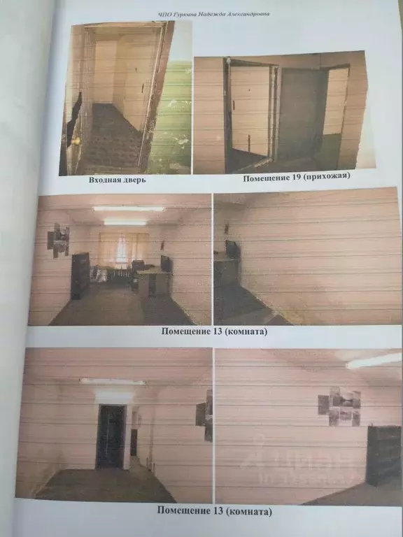 Помещение свободного назначения в Ивановская область, Иваново ... - Фото 2