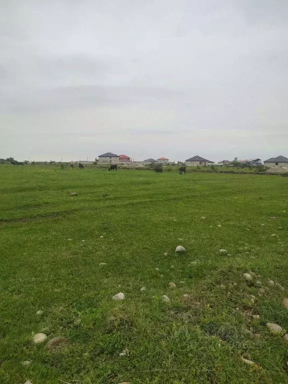 Участок в Кабардино-Балкария, Чегемский район, с. Шалушка, ККРС мкр  ... - Фото 2